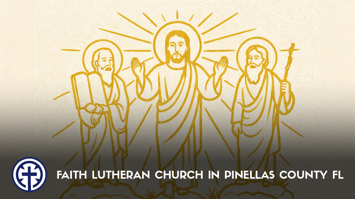 A Day in Your Courts!